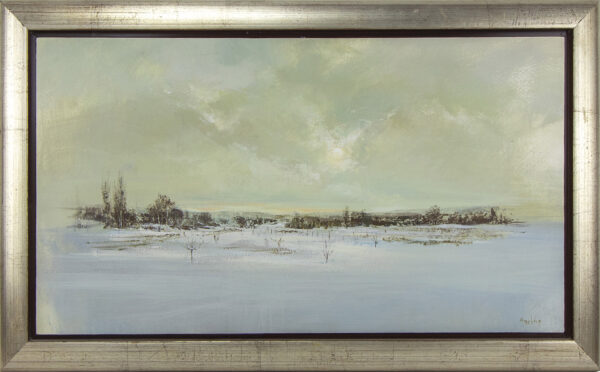 Campo Nevado de Nacho Amelivia